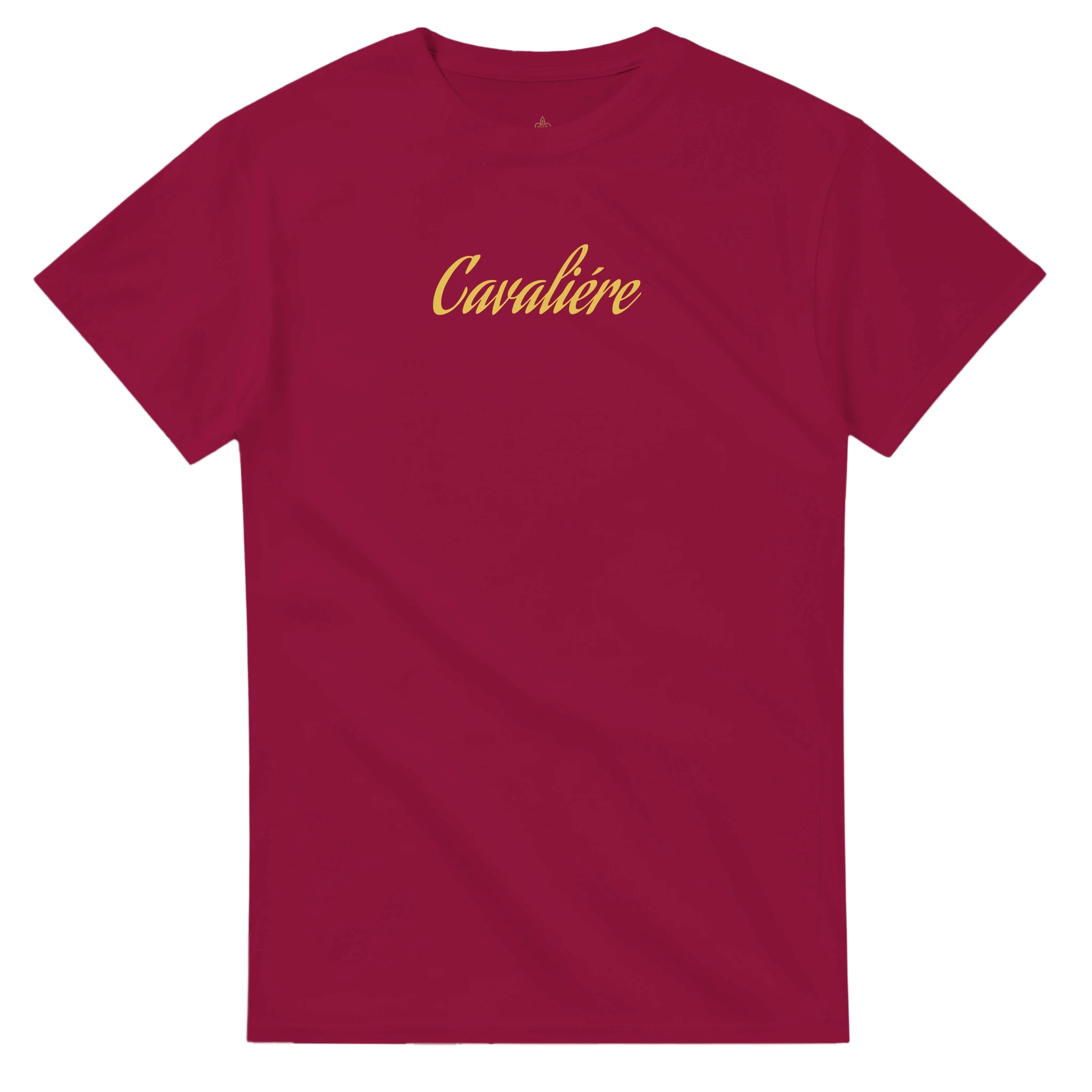 5b9c6493-70f9-4484-86ff-abb329f24e9d