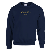 b3ca08b3-ae66-467c-8083-fa12130ed426