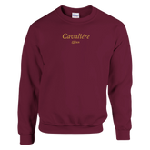 cd8eaa75-a335-49d3-ad28-18d04ab44860